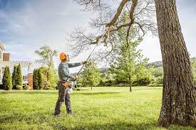 Best Stump Grinding and Removal  in Groveton, VA